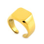 Anello chevalier in acciaio dorato 20,00 € Anelli Personalizzabili
