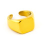 Anello chevalier in acciaio dorato 20,00 € Anelli Personalizzabili