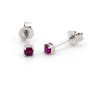 Orecchini punto luce rosso rubino 3 mm 10,00 € Orecchini Donna