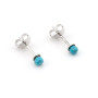 Orecchini in argento con pallino di turchese 3mm 6,00 € Orecchini Donna