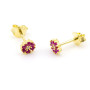 Orecchini a fiore in argento dorato e pietre rosso rubino 18,00 € Orecchini Donna