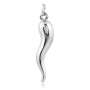 Ciondolo corno portafotuna in argento h 4,2cm 15,00 € Ciondoli